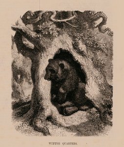 Winters Quarters (metszet) alkotó: English School