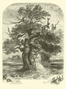 Yardley Oak alkotó: English School