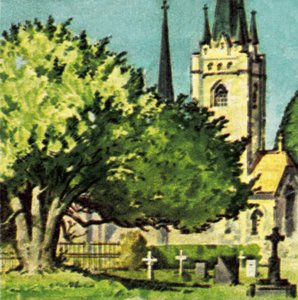 A tiszafa a templom udvarán alkotó: English School