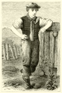 Fiatal kertész (metszet) alkotó: English School