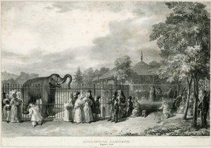 Állatkert, Regents Park alkotó: English School