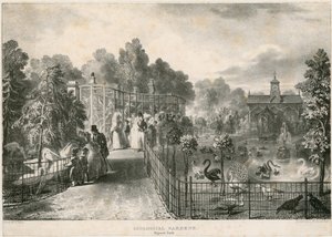 Állatkert, Regents Park alkotó: English School