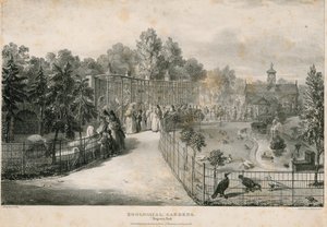 Állatkert, Regents Park alkotó: English School