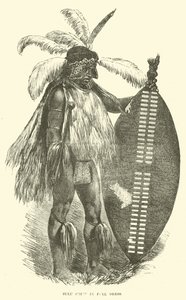 Zulu főnök teljes ruhában alkotó: English School