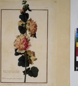  alkotó: Erich Lessing