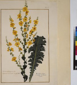  alkotó: Erich Lessing