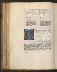  alkotó: Erich Lessing