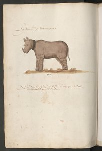  alkotó: Erich Lessing