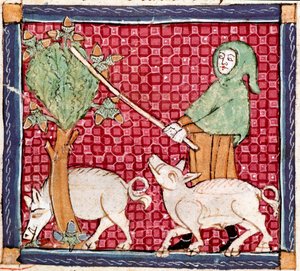 Szeptember: makkot evő malacok. Miniatűr Ermengol de Beziers (Matfre Ermengau) (Ermengaud) „Breviaire d