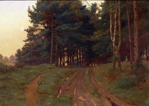 A csend esti uralkodását követelte, 1888