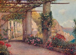 Cappuccino, Amalfi, 1903