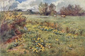 Pathless Fields