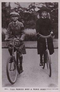 Királyi Felségük, Mary hercegnő és Henrik herceg