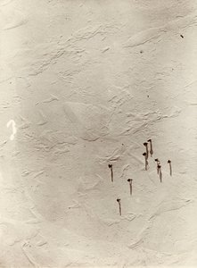 A léghajóról a fennsíkon át a "Discovery" felé tekintve (1901). Sir Ernest Henry Shackleton Nemzeti Antarktiszi Expedíció (1901-1903) című albumából. alkotó: Ernest Henry Shackleton