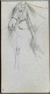 Vázlatfüzet, 55. oldal: Study for a Horse