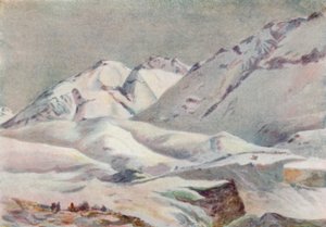 Andok (színes litho)