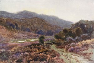Broomy Water (színes litho) alkotó: Ernest William Haslehust