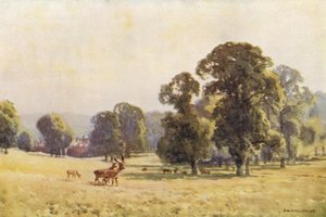 Cobham Park (színes litó) alkotó: Ernest William Haslehust