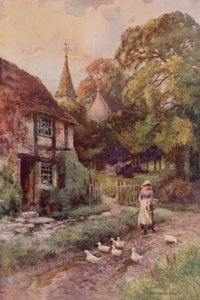 "Pápista Wixford" (színes litó) alkotó: Ernest William Haslehust