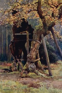 Robin Hood éléskamrája (színes litó)