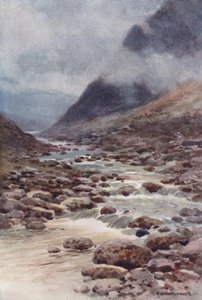 Fat Cleave (színes litho) alkotó: Ernest William Haslehust