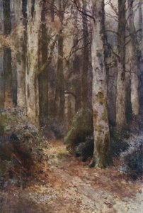 "A katedrális" (színes litó)