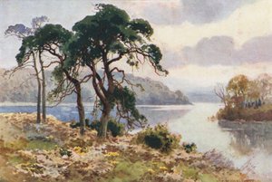 Virginia víz (színes litó) alkotó: Ernest William Haslehust