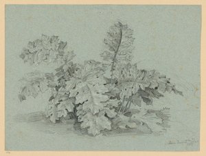 Akanthusznövény alkotó: Ernst Fries