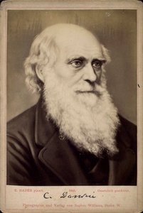 Charles Darwin, brit természettudós, 1860-1870 között alkotó: Ernst Hader