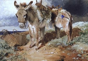 Szamarak, 1855