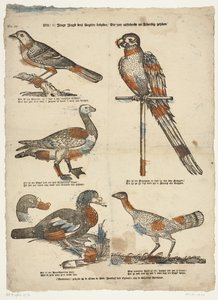 Akar /o! fiatal fiatalok nézik ezeket a madarakat / Azok a nagyon kiválóak, miután élénknek tűnnek (cím a tárgyon) alkotó: Erven de Weduwe Jacobus van Egmont