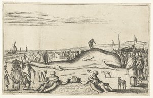 Partra vetett bálna Noordwijk tengerpartján, 1614