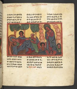 Vagy. 607 f066r, Jelenet Szűz Mária életéből, a Nagara Maryamból