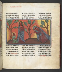 Vagy. 607 f174r, Jelenet Szűz Mária életéből, a Nagara Maryamból