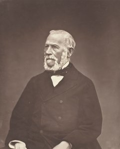 Henri Martin c. 1876. alkotó: Etienne Carjat