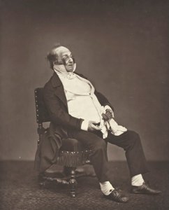 Henri Monnier c. 1876. alkotó: Etienne Carjat