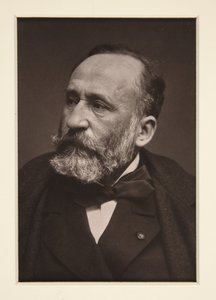 Pierre Puvis de Chavannes portréja (1824-1898) alkotó: Etienne Carjat