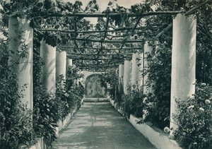 Pergola a szőlőben, Capri, Olaszország, 1927 alkotó: Eugen Poppel