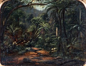 Ferntree Gully a Dandenong-hegységben