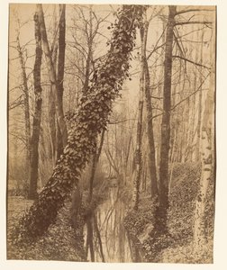  alkotó: Eugène Atget