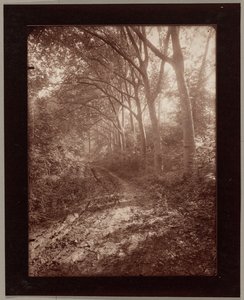 Sceaux parkja alkotó: Eugène Atget