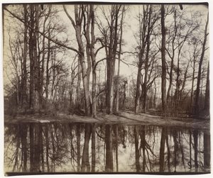 Saint-Cloud, Fülöp orléans-i herceg kastélyának kertjei alkotó: Eugène Atget