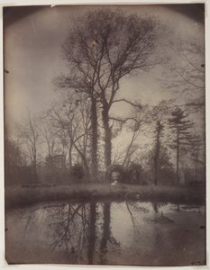 A Sceaux-i park [1925. április, reggel 7 óra] alkotó: Eugène Atget