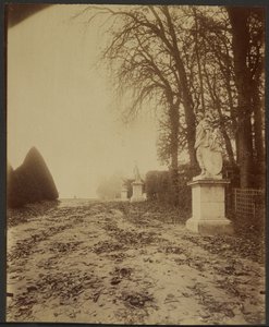 Versailles, a park (fasor a versailles-i parkban) alkotó: Eugène Atget