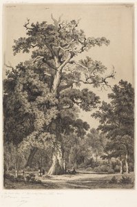 Ősi tölgy a Bois de Boulogne-ban alkotó: Eugene Bléry