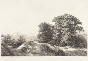 Tölgyfák a Vaux de Cernay-ben alkotó: Eugene Bléry