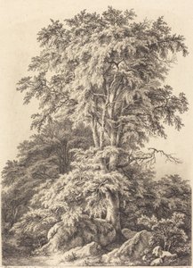 Bükkliget, 1840. alkotó: Eugene Bléry