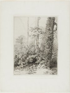 Bramble és Ivy alkotó: Eugene Bléry