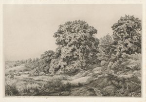Tölgyek egy tó mellett, 1852.