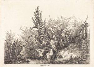 Water Patience, Study (Study of a Patience-Dokk)